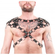 Twin Shoulder Ring Harness